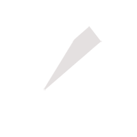 三亚临时保镖服务